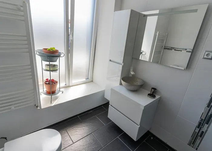 Cantinho Do Bairro Alto 度假居 Alijó